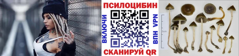 Галлюциногенные грибы мицелий Беломорск